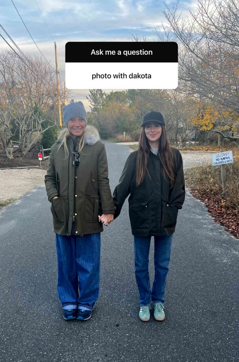 Gwyneth Paltrow & Dakota Johnson
