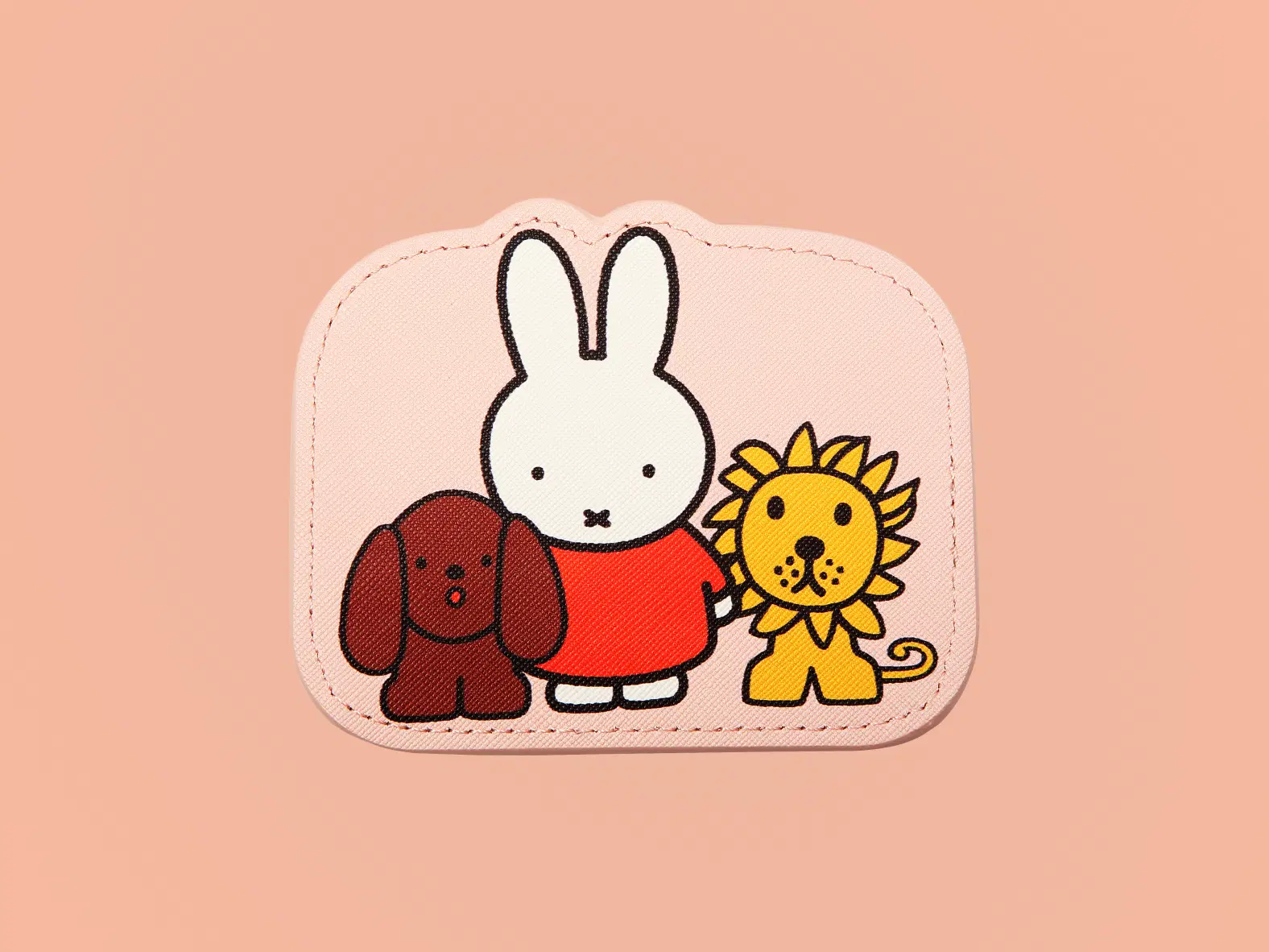 Coin pouch with eco bag