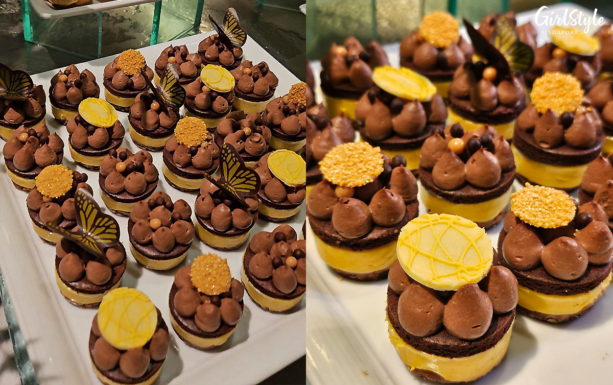 D24 Dark Chocolate Crémeux