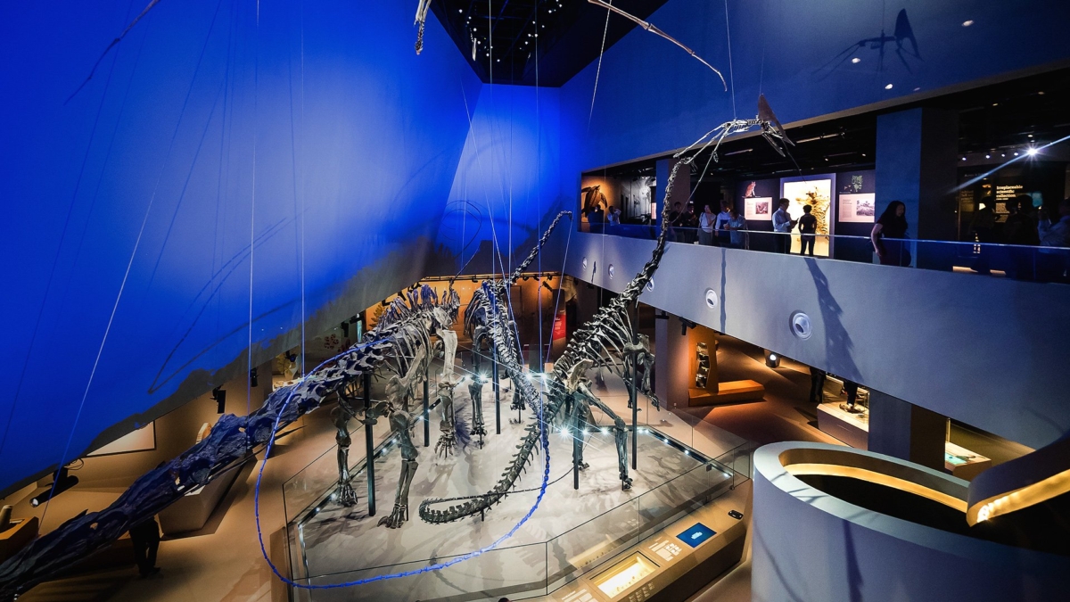 Biodiversity Gallery