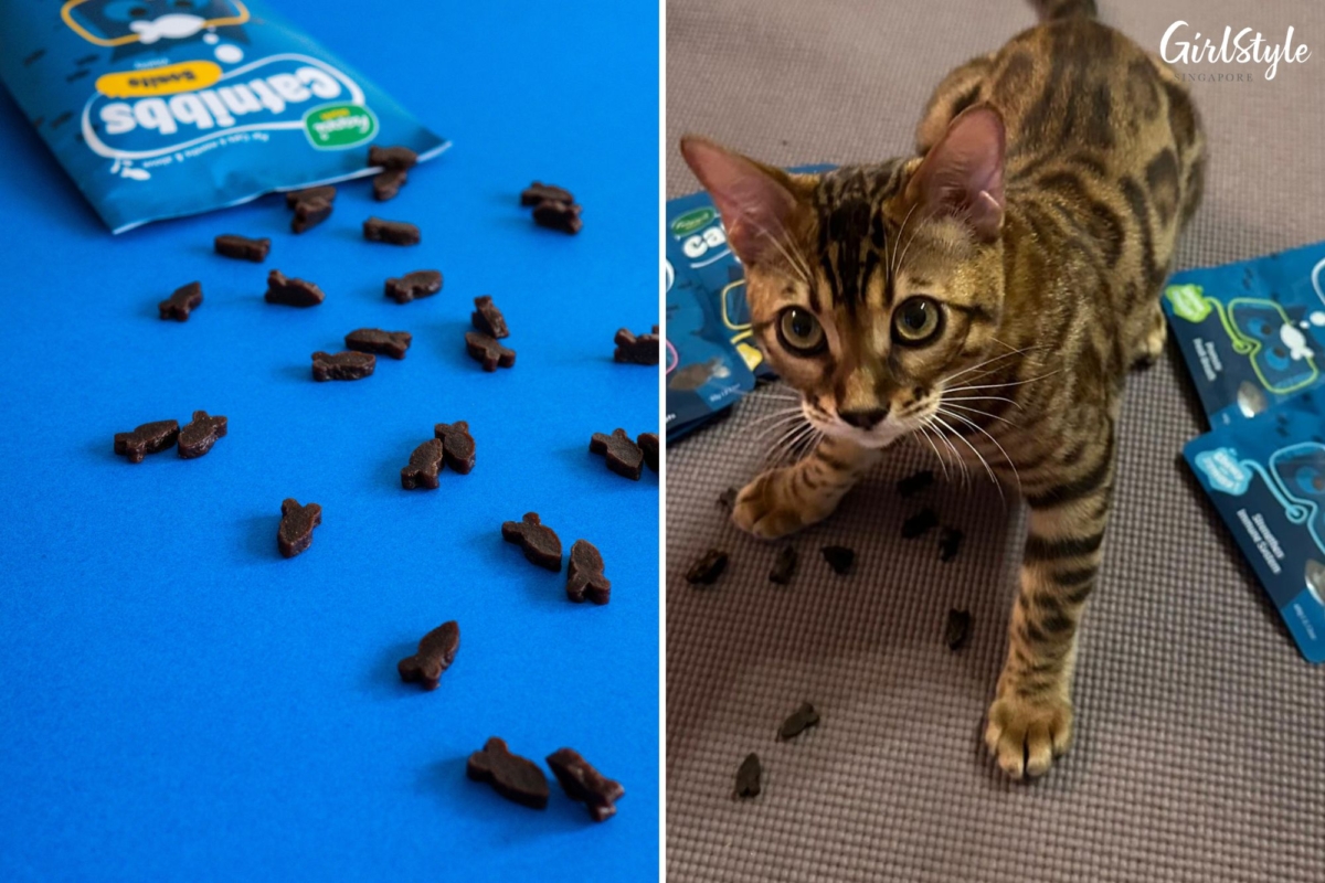Treat your favourite feline to Catnibbs today — the flavours available are bonito, chicken, salmon & tuna