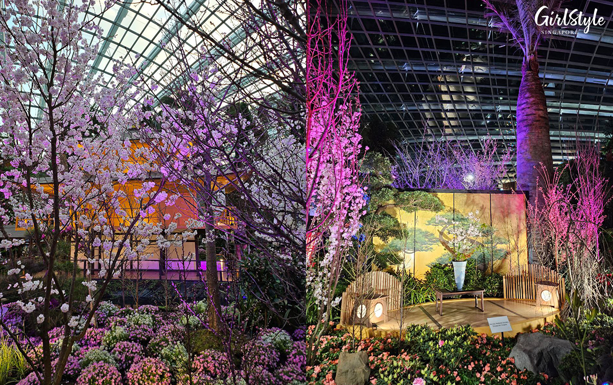 Light-up floral displays