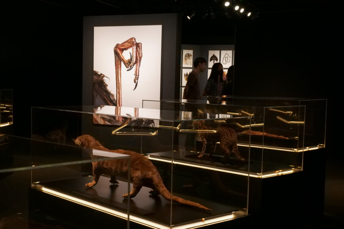 Death by Man exhibition