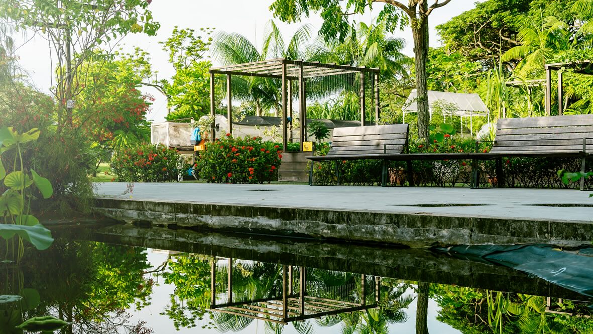 Pet-friendly outdoor area