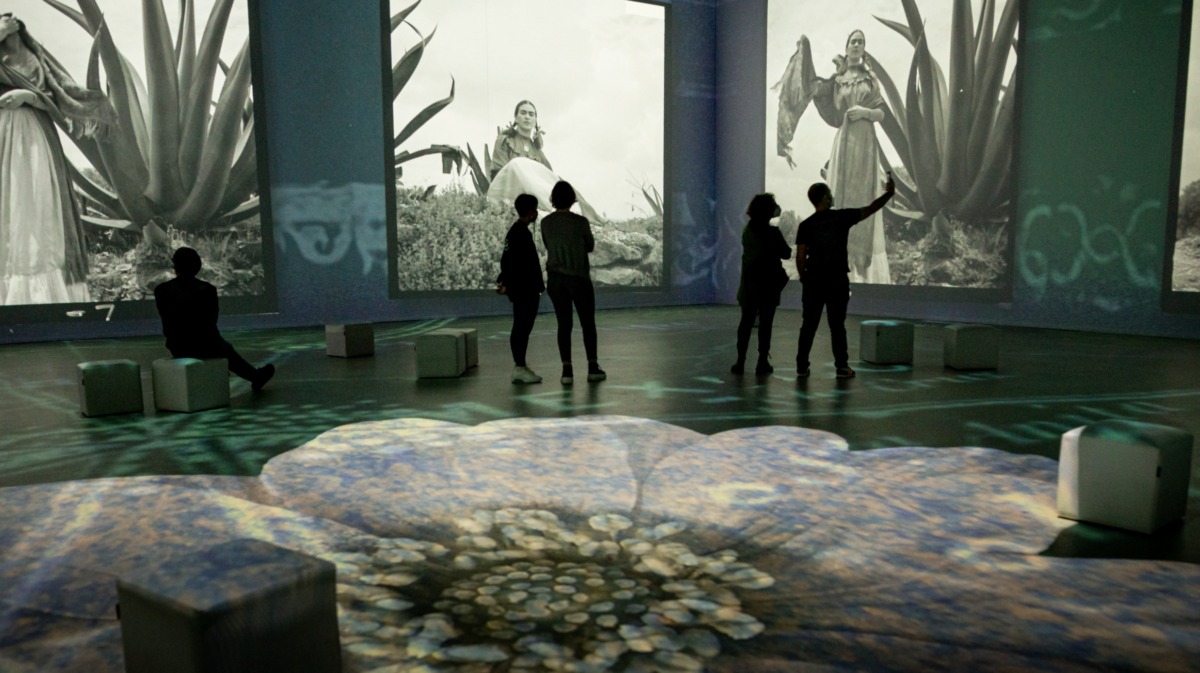 Frida Kahlo: The Life of an Icon in Barcelona