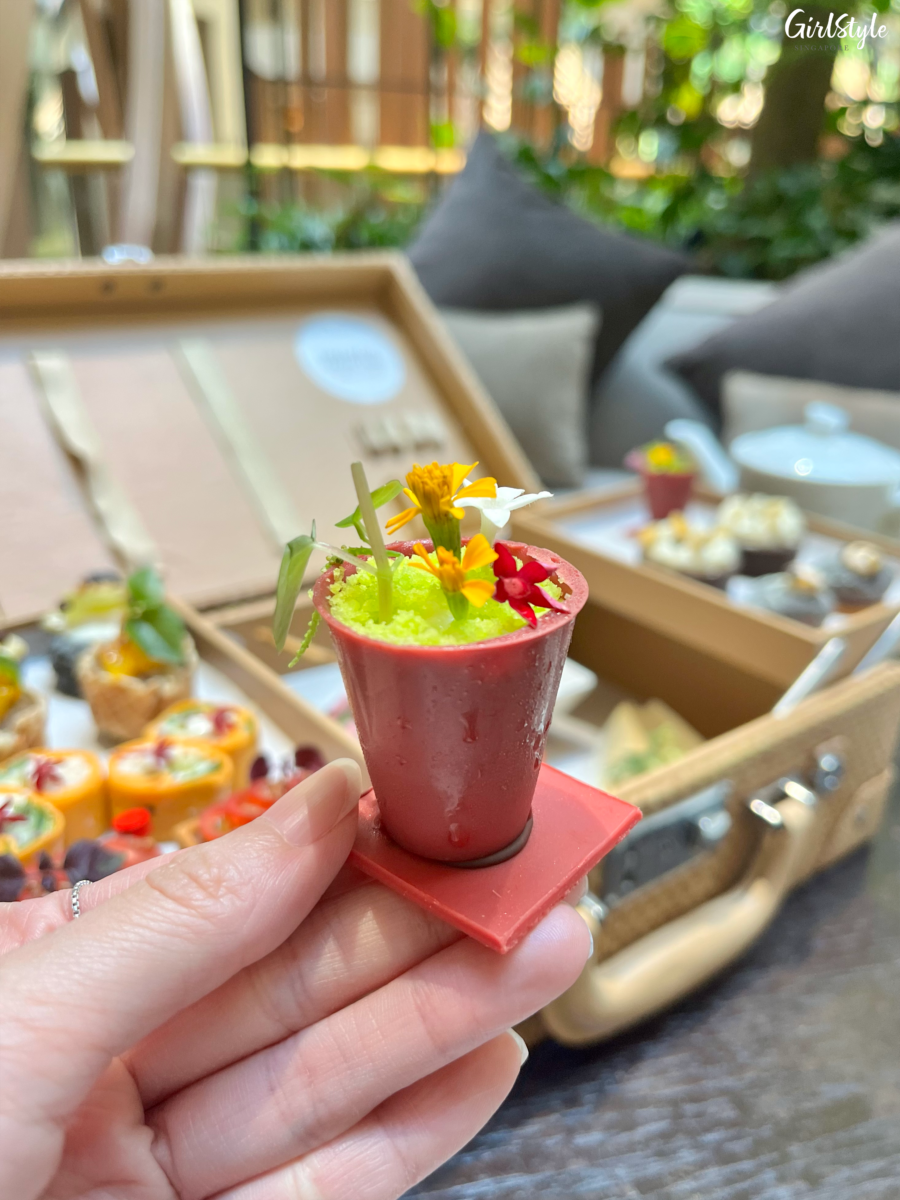 Framboise Flower Pot