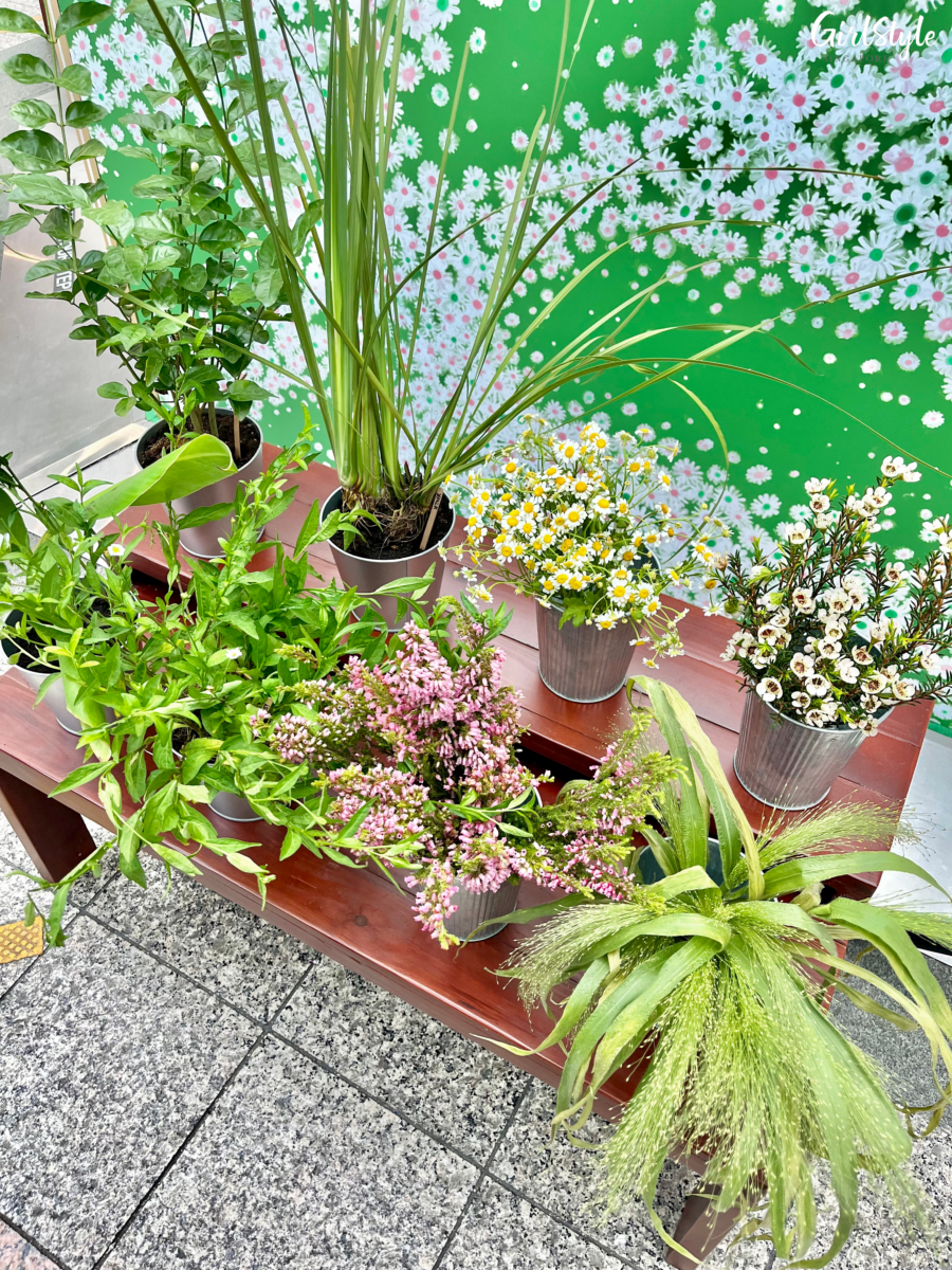 Display of wildflowers