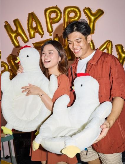 Texas Chicken Cushion