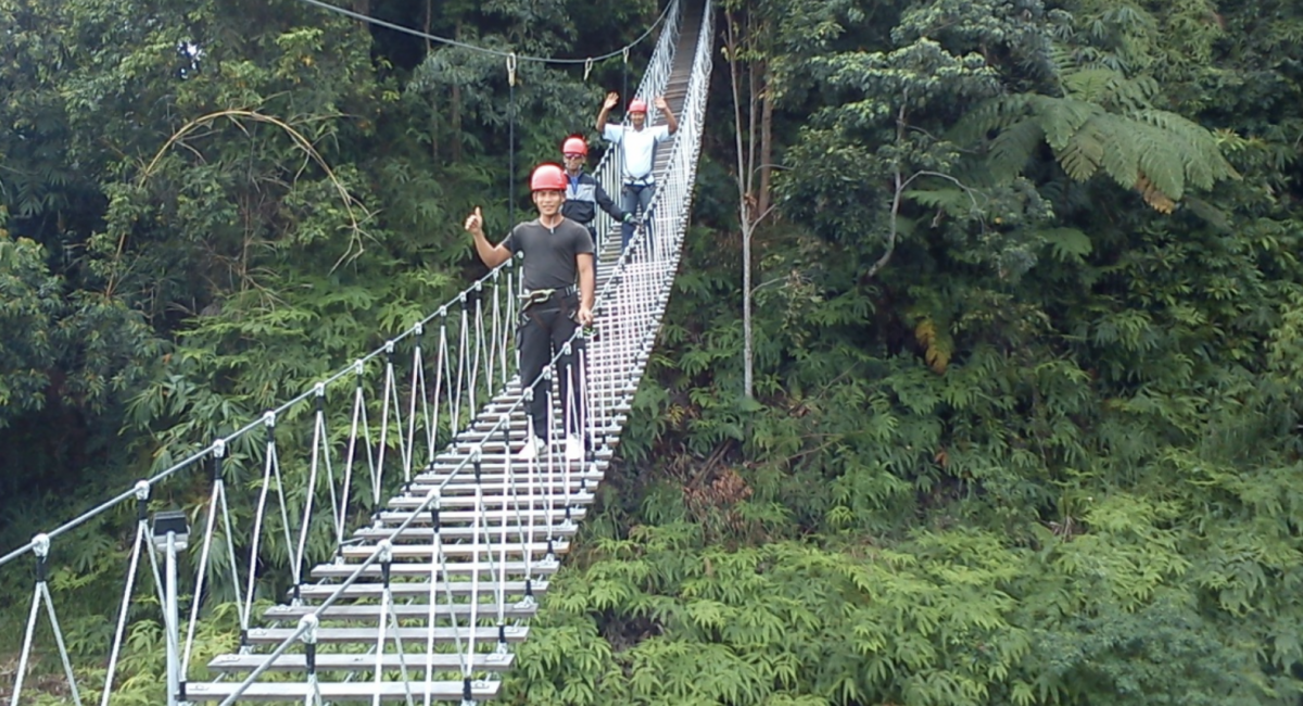 Canopy Walk
