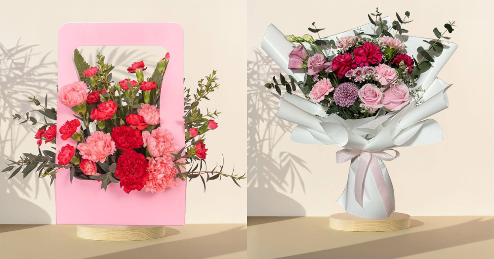 Carnation Bloom Box and Nurturing