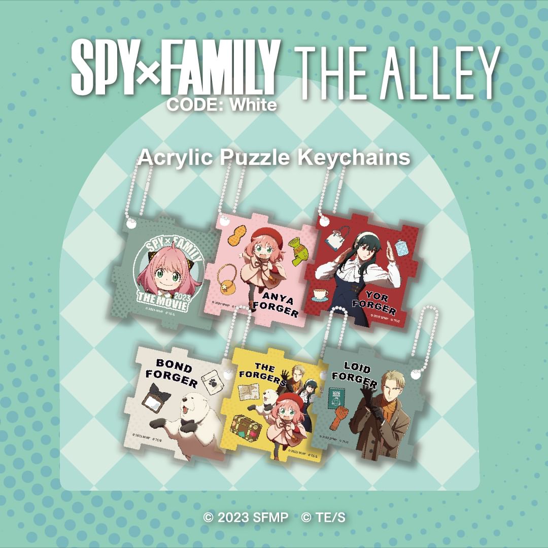 Acrylic Puzzle Keychains