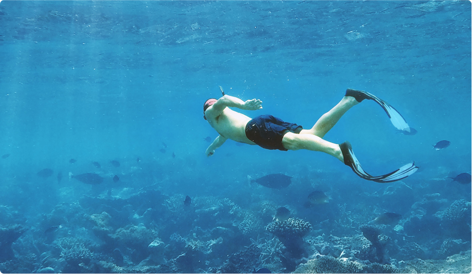 Snorkelling at Pulau Tioman