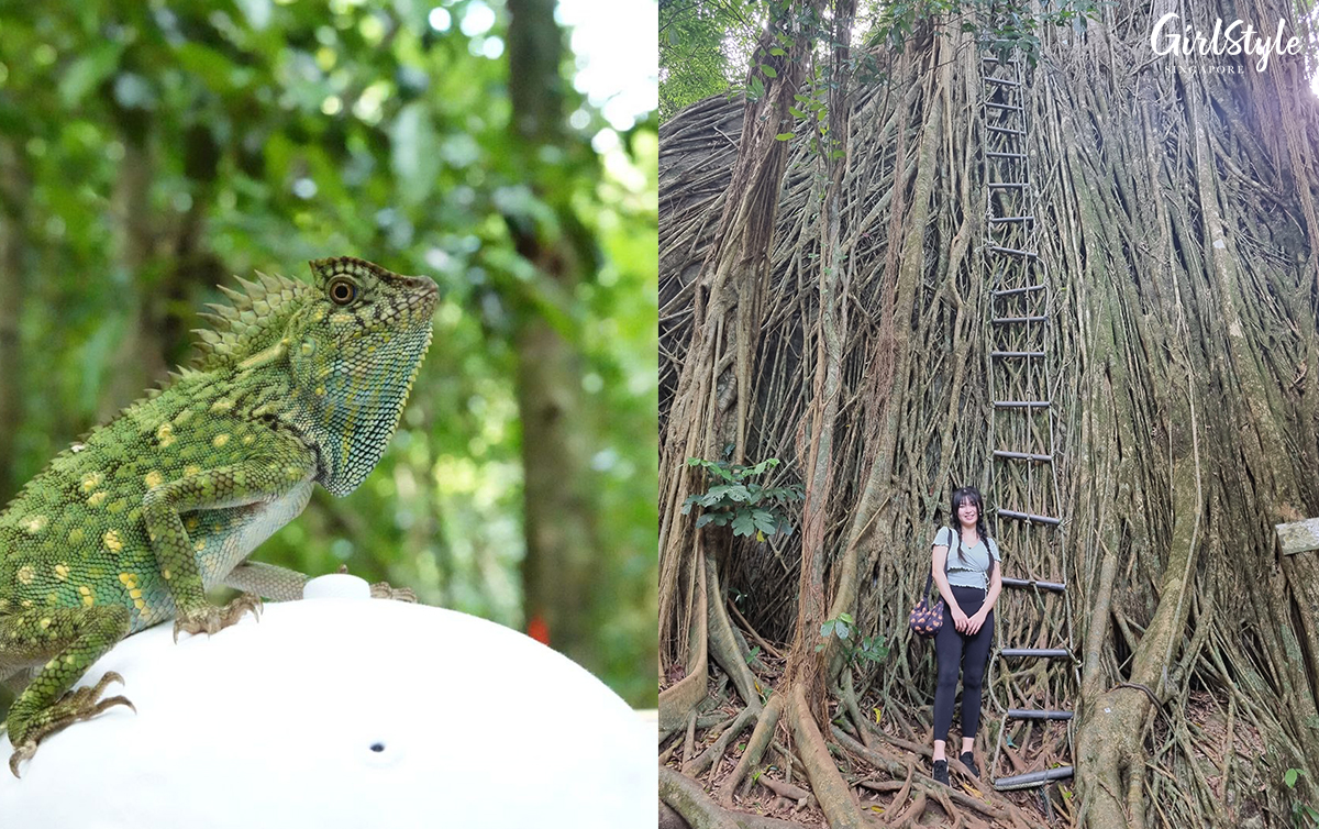 Spot local wildlife and reconnect with nature