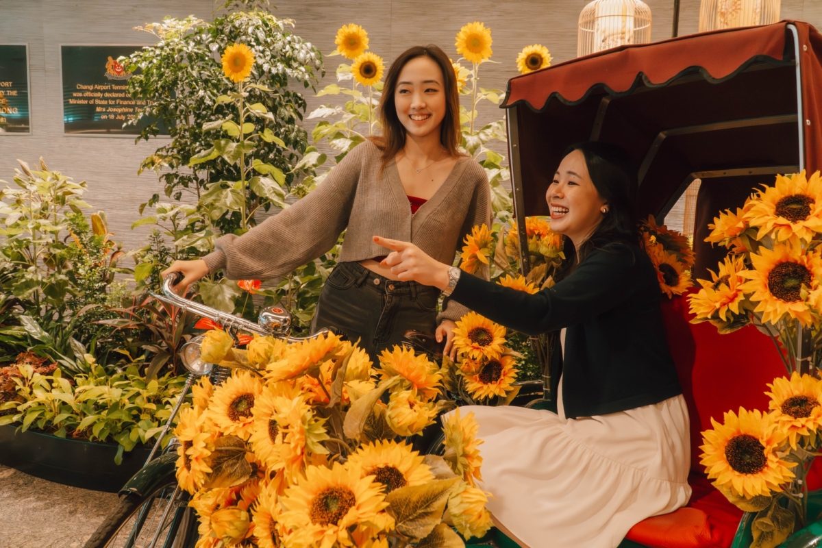 A Sunflower Sojourn