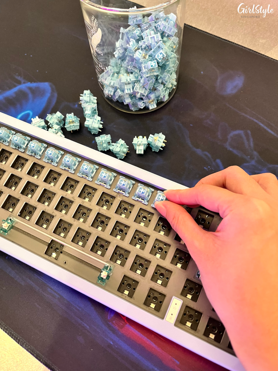 Assembling the switches