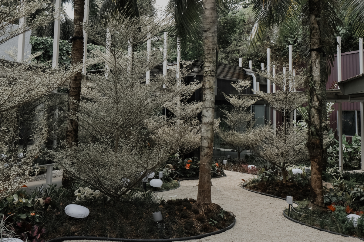 The Enchanting Garden