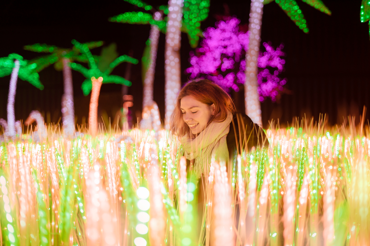 The Magical Forest