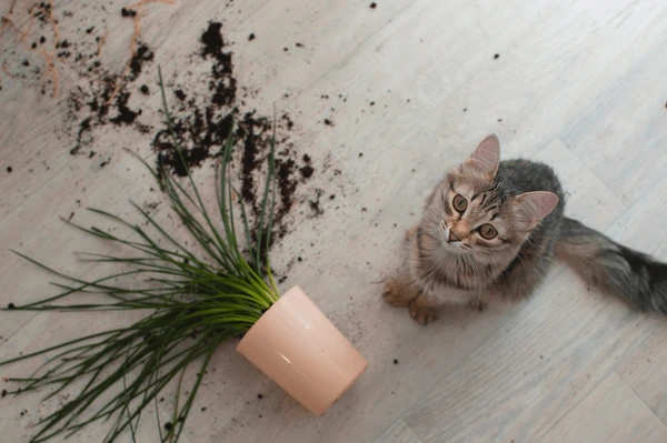 Place sticky tape under items to keep them from falling