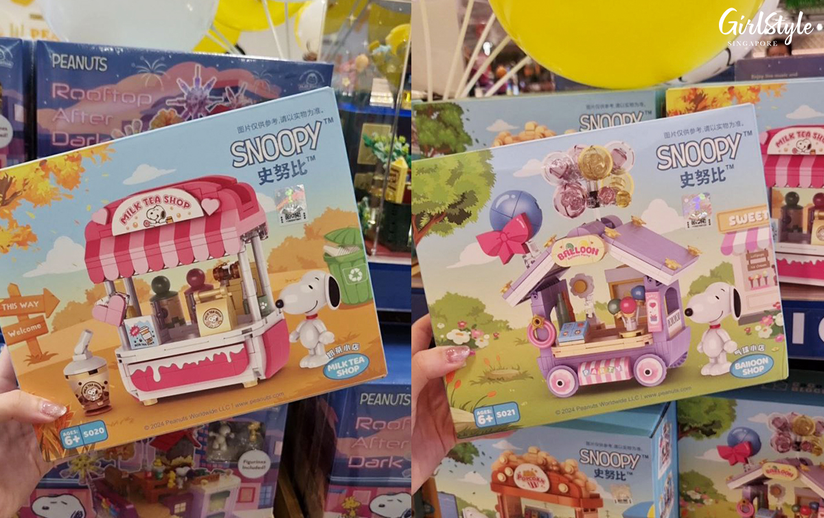 Snoopy World Building Blocks