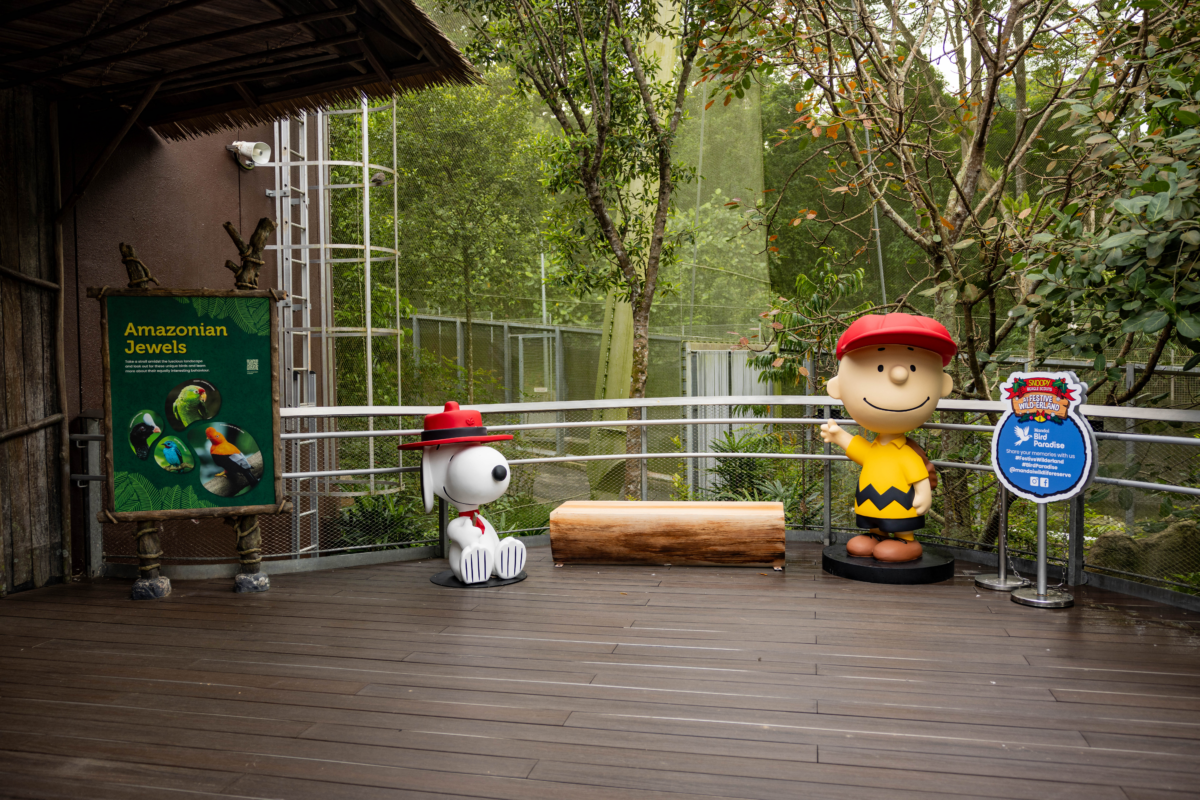 Charlie Brown and Snoopy at Amazonian Jewels at Bird Paradise