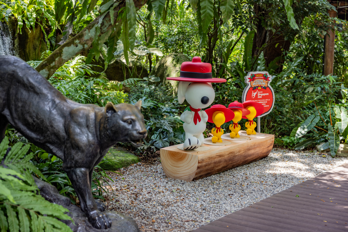 Snoopy Beagle Scouts troop at the Singapore Zoo and Bird Paradise