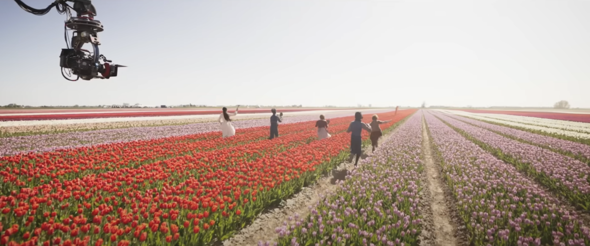 The team planted 9 million real tulips to create this scene