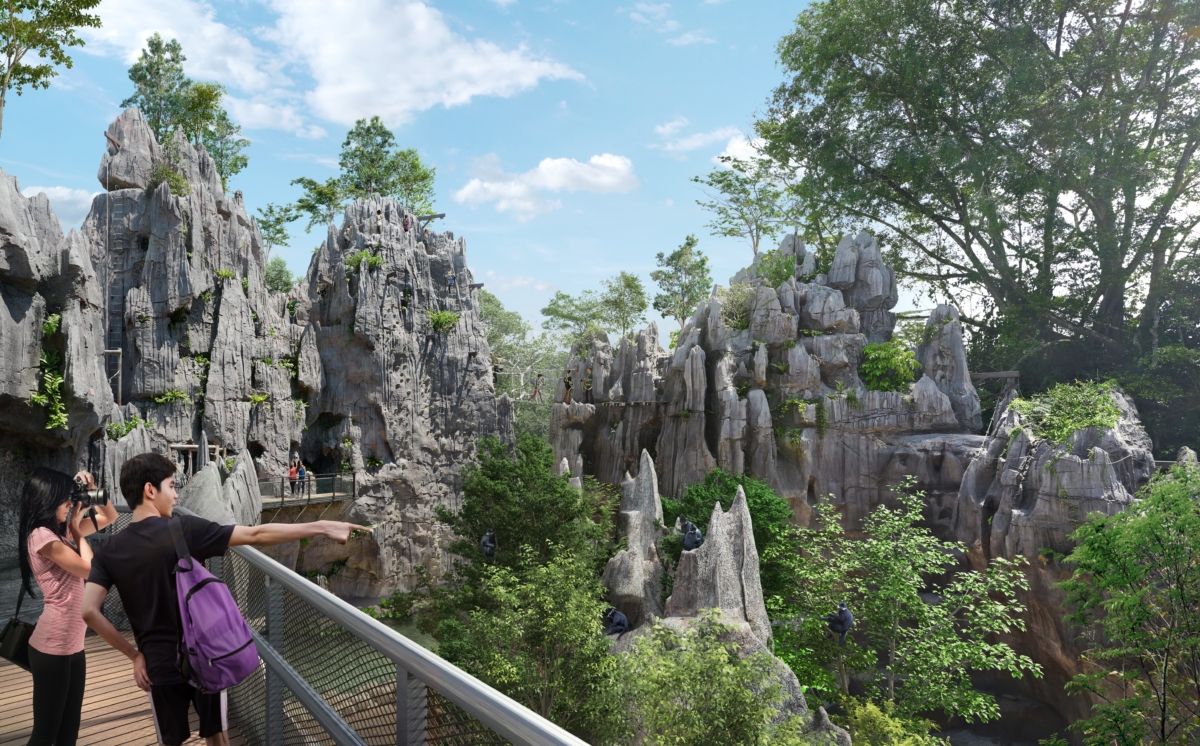 Rainforest Wild Asia