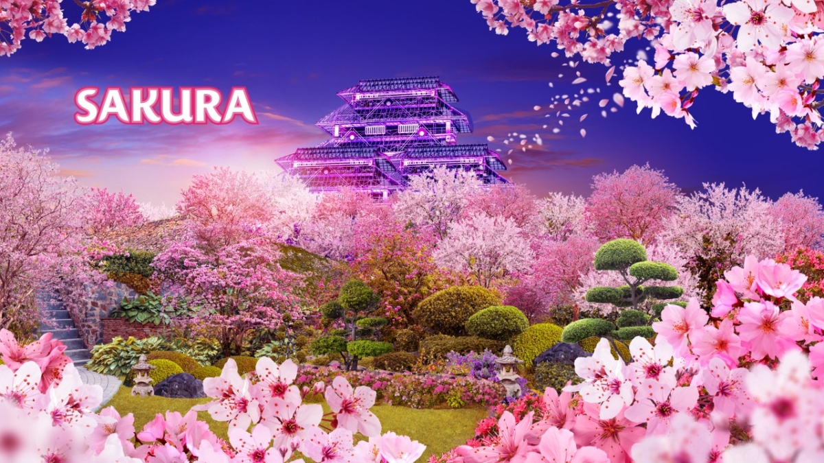 Cherry Blossom Showcase