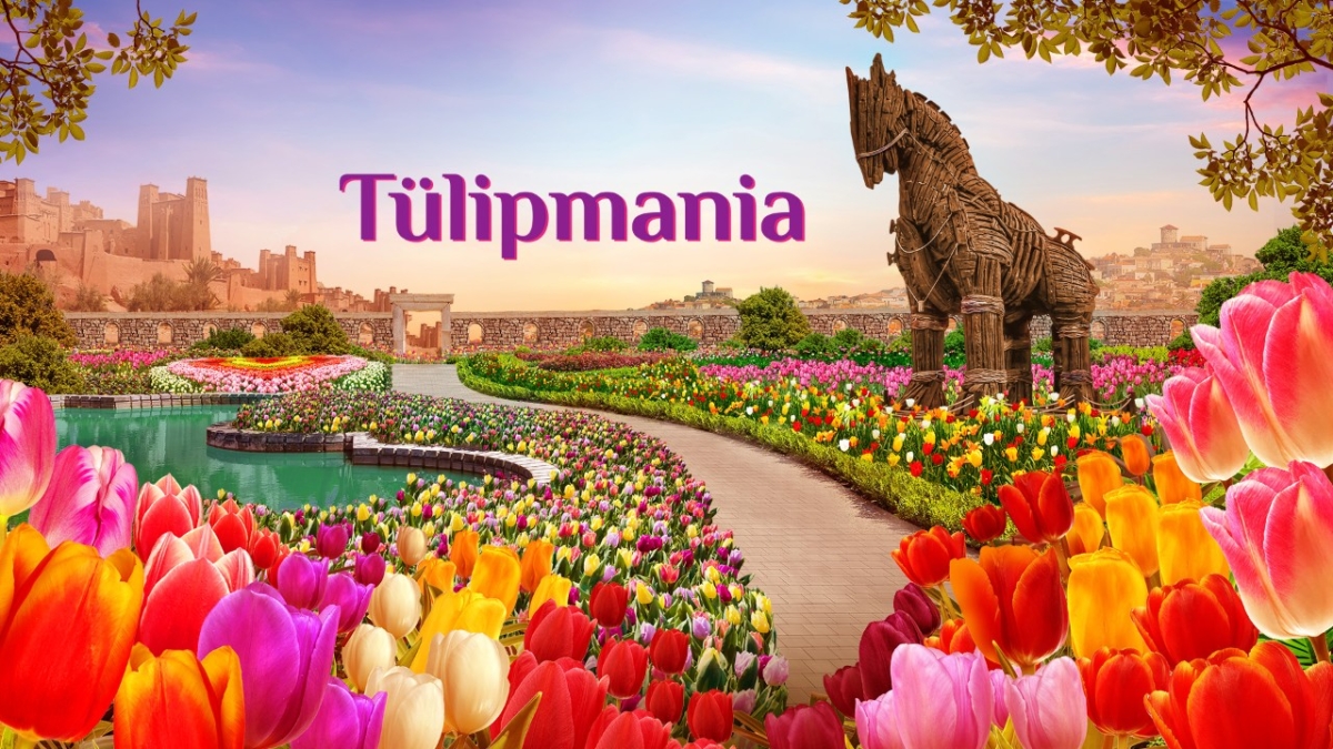 Tulipmania 2025