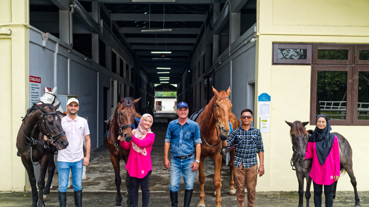 Horse riding lessons