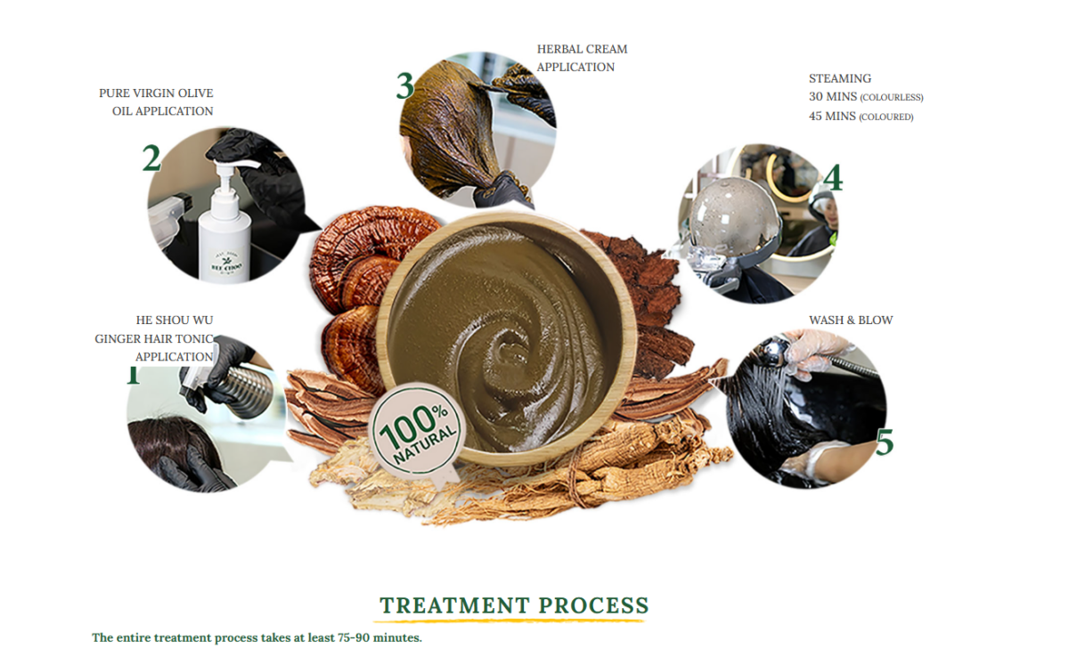 Treatment Process