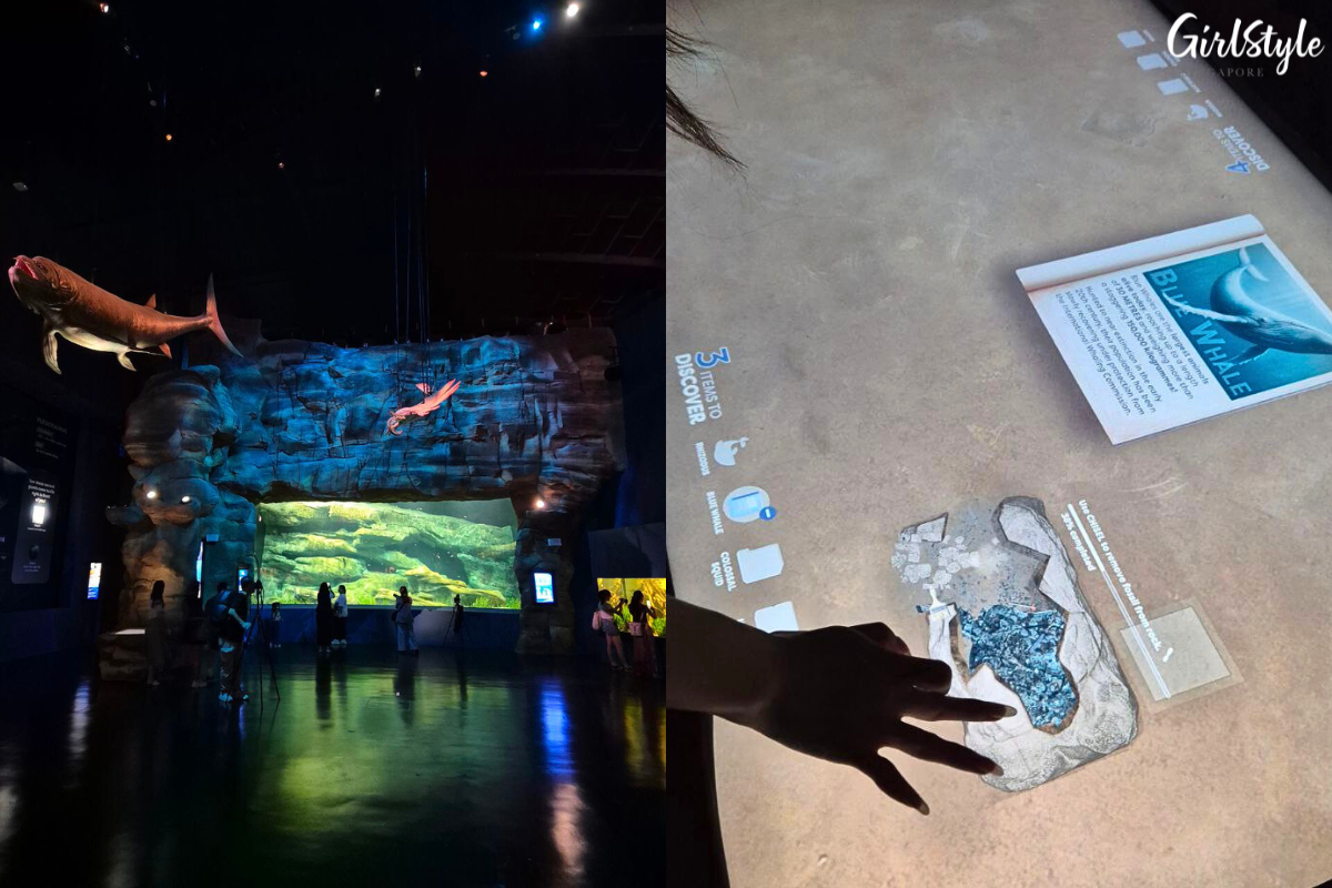 Spirit of Exploration