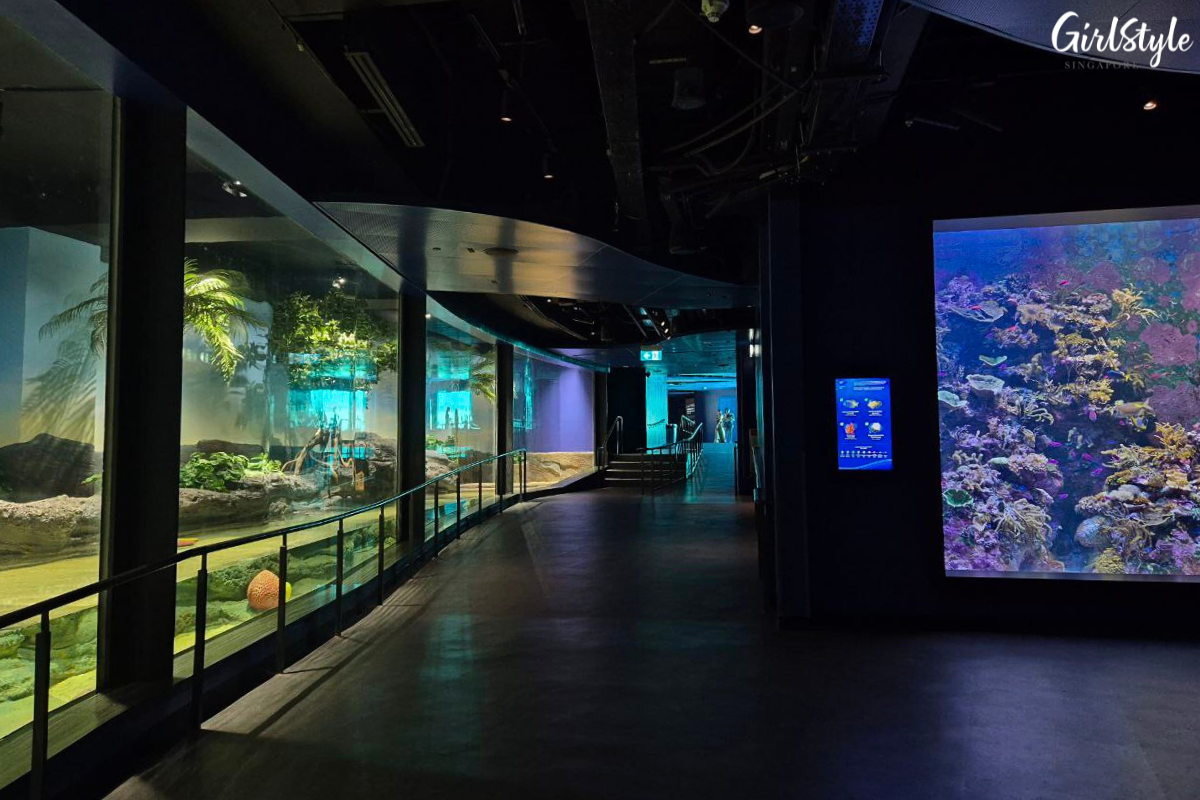 Singapore Oceanarium