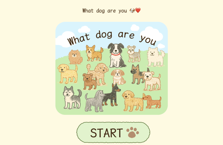 What Dog Are You Based On Your Mbti Take The Quiz