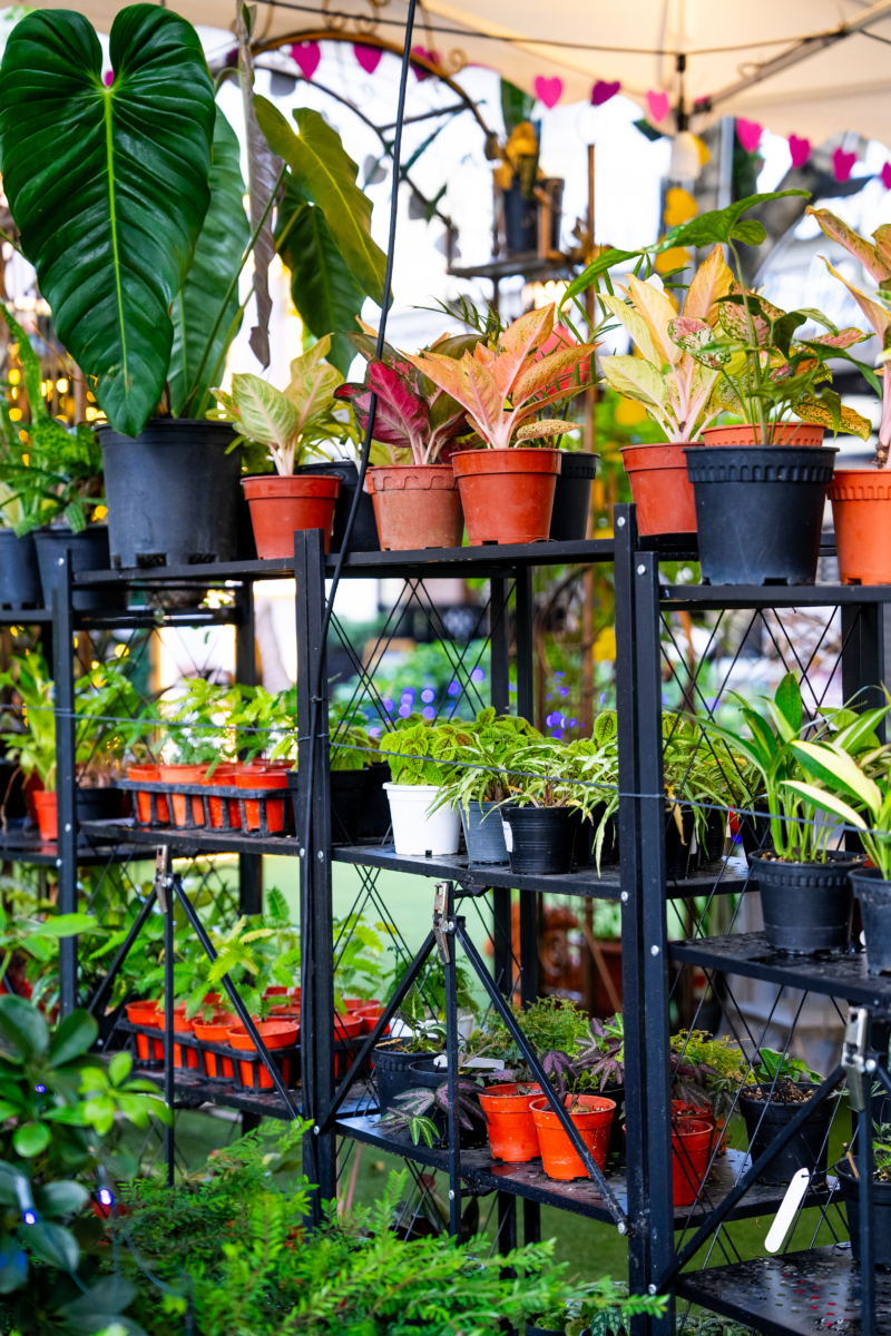 Blooming Garden @ CHIJMES