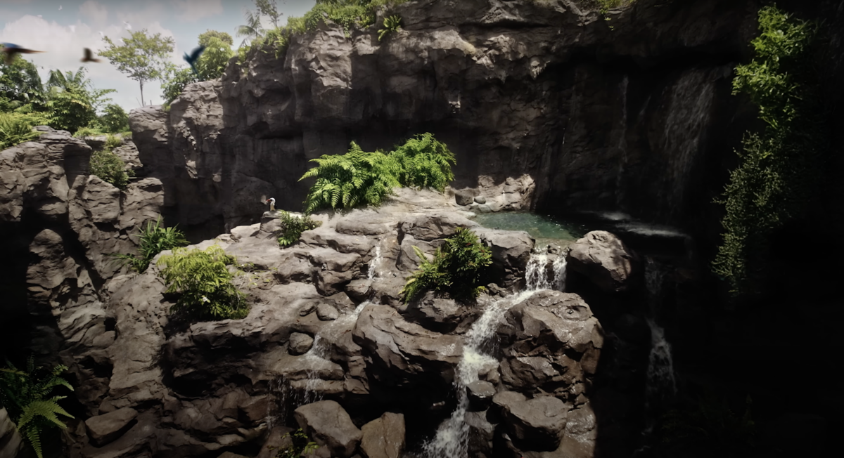 Rainforest Wild Asia