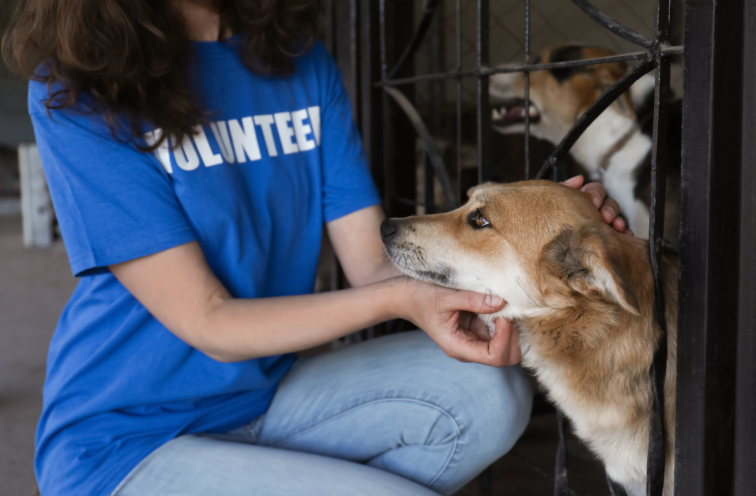 A career break can be the start of a long-awaited dream project