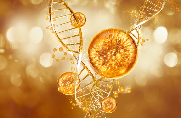 PDRN is DNA extract that comes from salmon