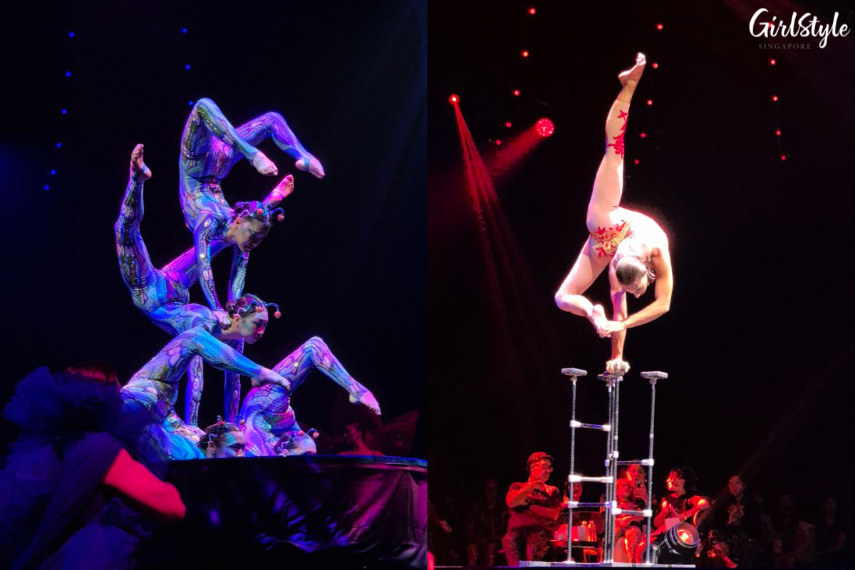 Contortionists