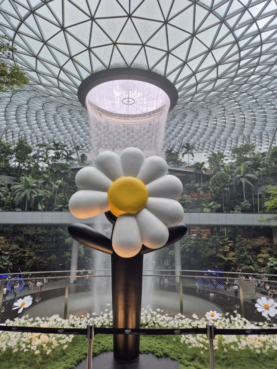 Daisy Garden at Rain Vortex