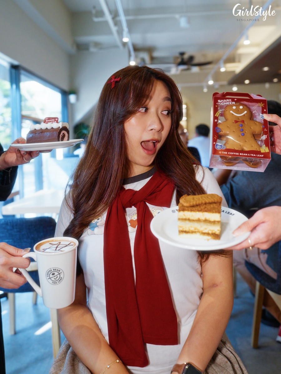 Mini Raspberry Dark Chocolate Christmas Logcake, Speculoos Tiramisu, and Gingerbread man