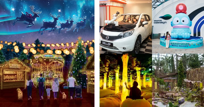 10 New Things To Do In December 2025: Hangyodon Ocean Adventure, Dopamine Land, Dollop Pit Stop & More