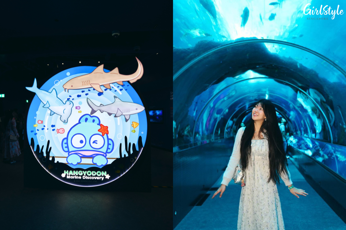 Southeast Asia’s only Hangyodon-themed ocean journey