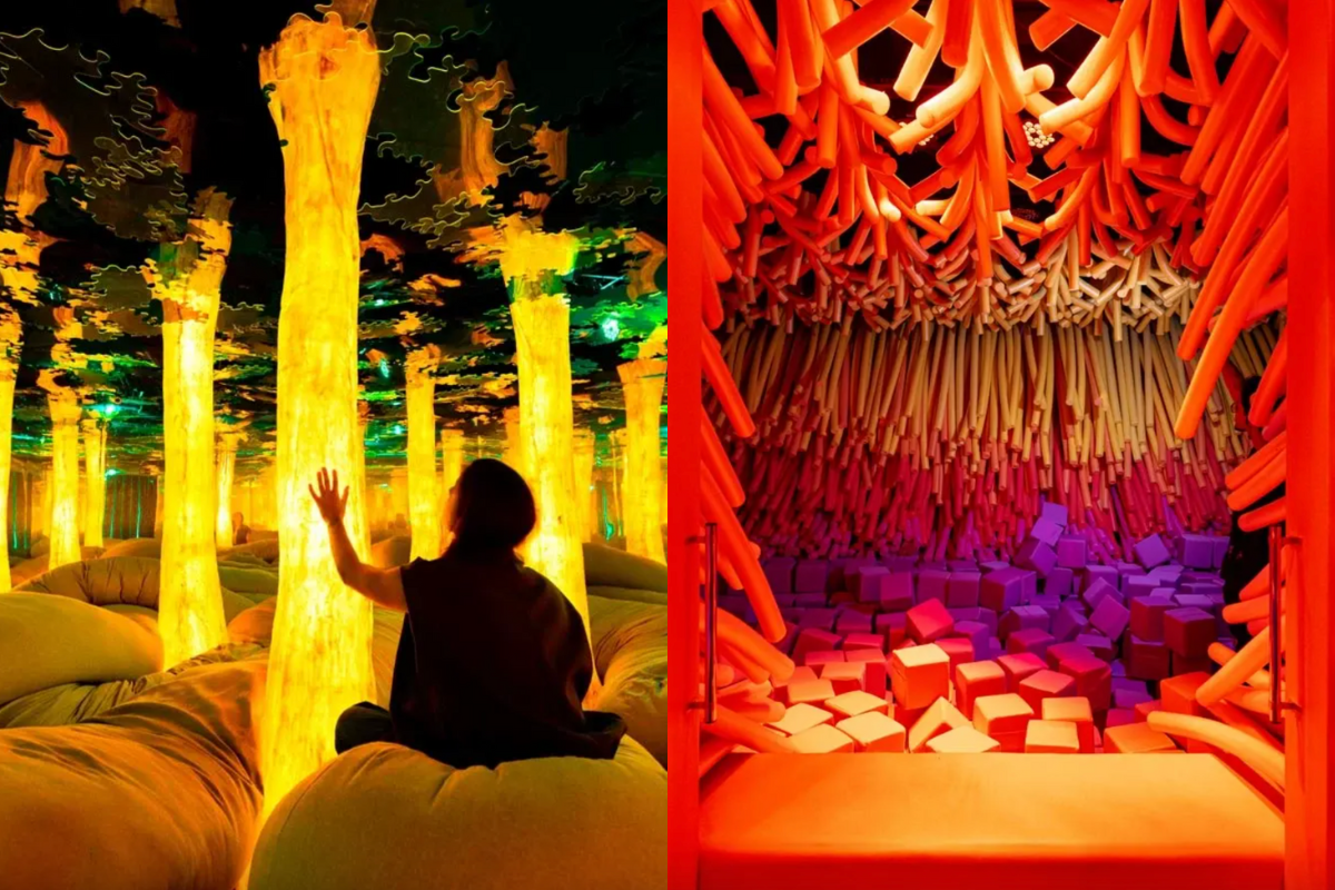 Euphoria Grove & Cave of Tactility