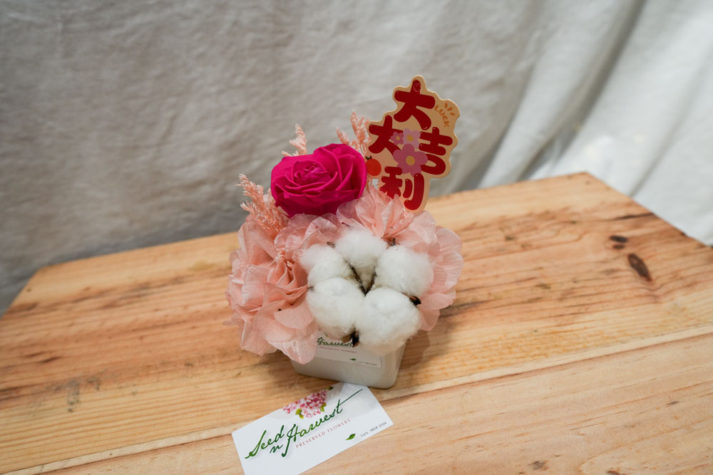 Seed & Harvest Preserved Blooms