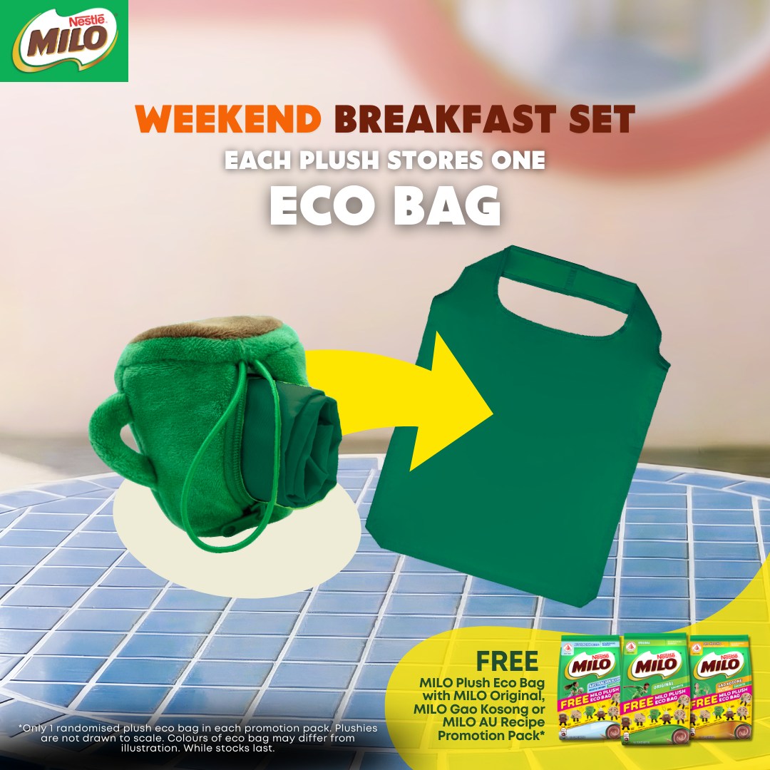 Convertible foldable eco bag