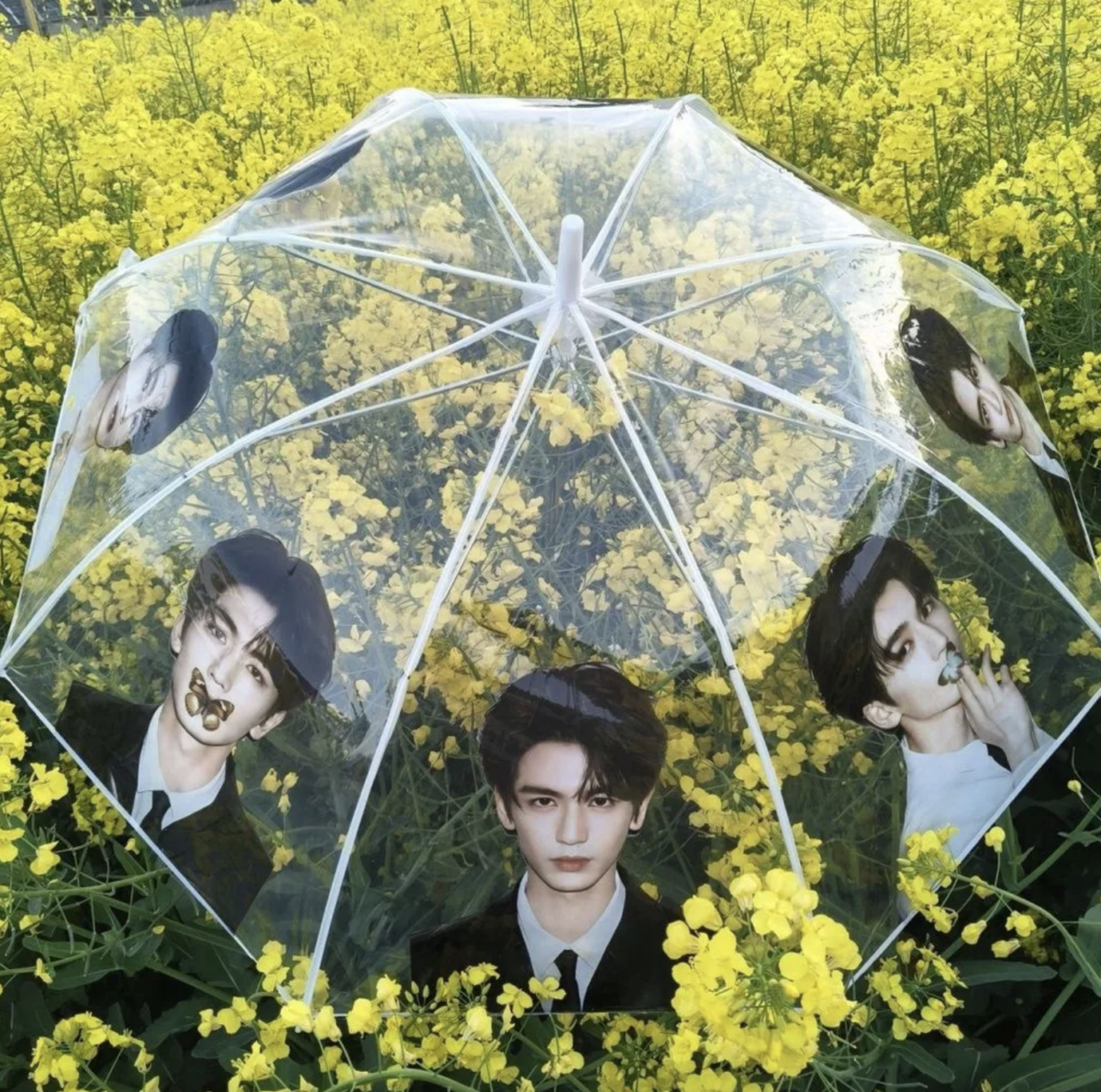 Zhang Linghe Clear Umbrella